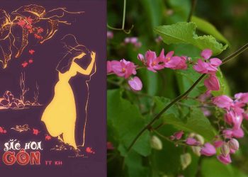 Bài thơ “Hai Sắc Hoa Ti-gôn” và những nghi án tình yêu ly kỳ xung quanh tác giả bí ẩn TTKh