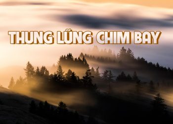 Nhạc sĩ Việt Dzũng và ca khúc “Thung Lũng Chim Bay” – “Cho tôi xin đa tạ những tháng ngày diễm mộng…”
