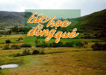 “Bức Họa Đồng Quê” của nhạc sĩ Văn Phụng – Bức tranh thanh bình tươi đẹp của đồng quê một thuở