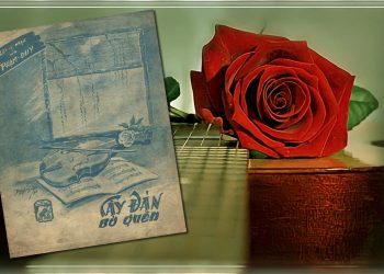 “Cây Đàn Bỏ Quên” của nhạc sĩ Phạm Duy và niềm thắc mắc cả một đời: “yêu tôi hay yêu đàn?”