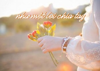 Hoàn cảnh sáng tác và cảm nhận về ca khúc “Như Một Lời Chia Tay” (Trịnh Công Sơn) – Những hẹn hò từ nay khép lại… –