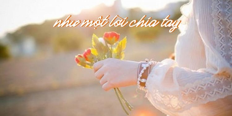 Hoàn cảnh sáng tác và cảm nhận về ca khúc “Như Một Lời Chia Tay” (Trịnh Công Sơn) – Những hẹn hò từ nay khép lại… –