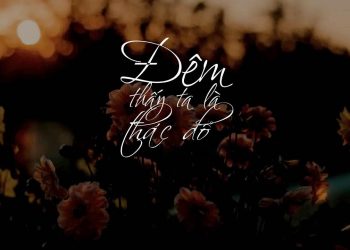 Ý nghĩa của ca khúc “Đêm Thấy Ta Là Thác Đổ” (Trịnh Công Sơn) – “Vì em đã mang lời khấn nhỏ, bỏ tôi đứng bên đời kia…”