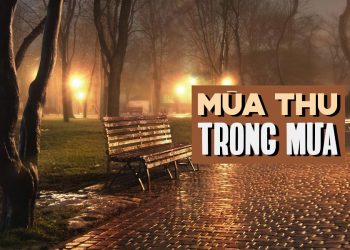 Hoàn cảnh sáng tác và cảm nhận về ca khúc “Mùa Thu Trong Mưa” (Trường Sa) – “Chiều mưa không có em…”