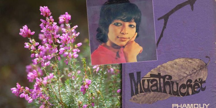 Ca khúc “Mùa Thu Chết” (Phạm Duy) và và giọng hát Julie Quang nửa thế kỷ trước