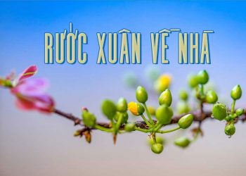 Cảm nhận về ca khúc “Rước Xuân Về Nhà” (Nhật Ngân) – “Mẹ hay chăng mùa Xuân vui đã sang…”