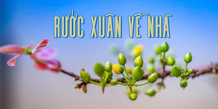 Cảm nhận về ca khúc “Rước Xuân Về Nhà” (Nhật Ngân) – “Mẹ hay chăng mùa Xuân vui đã sang…”