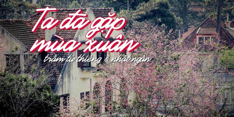 Cảm nhận về ca khúc “Ta Đã Gặp Mùa Xuân” (Trầm Tử Thiêng – Nhật Ngân) – “Ta đã có mùa xuân ta chờ đợi…”