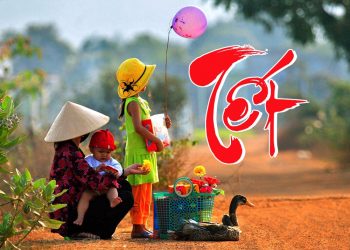 Những bài nhạc vàng mùa xuân dành cho những người xa quê