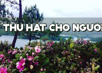Hoàn cảnh sáng tác và cảm nhận về ca khúc “Thu, Hát Cho Người” (Vũ Đức Sao Biển) – Mùa thu nào cho người về thăm bến xưa? –
