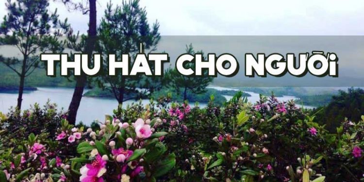 Hoàn cảnh sáng tác và cảm nhận về ca khúc “Thu, Hát Cho Người” (Vũ Đức Sao Biển) – Mùa thu nào cho người về thăm bến xưa? –