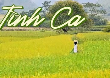 Hoàn cảnh sáng tác và cảm nhận về ca khúc “Tình Ca” (Phạm Duy) – “Tôi yêu tiếng nước tôi…”