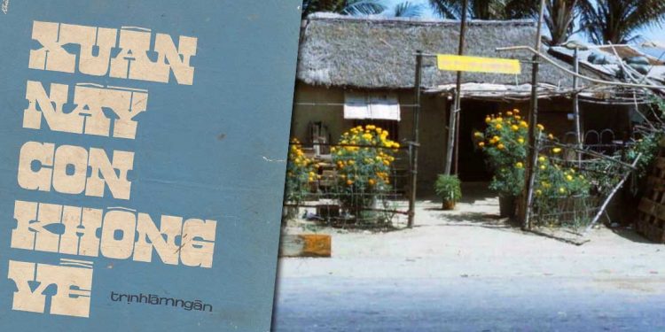 Nỗi niềm tha hương trong ca khúc “Xuân Này Con Không Về” (Trịnh Lâm Ngân)