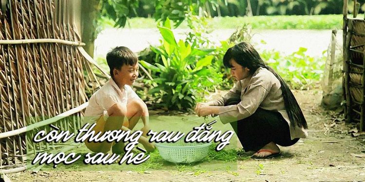 Ca khúc “Còn Thương Rau Đắng Mọc Sau Hè” của nhạc sĩ Bắc Sơn – Nỗi lòng của người ly hương