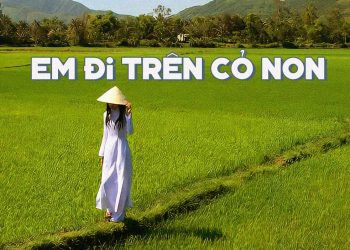 Ca khúc “Em Đi Trên Cỏ Non” của nhạc sĩ Bắc Sơn và những ký ức về một vùng quê dấu yêu của mỗi người