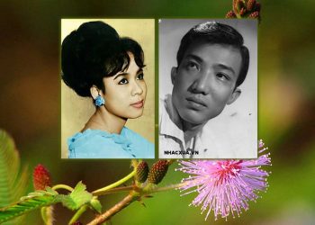 Sự thật về chuyện tình Trần Thiện Thanh và Minh Hiếu trong ca khúc “Hoa Trinh Nữ”