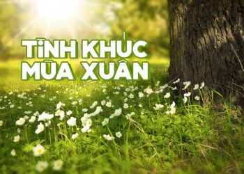 Ca khúc “Tình Khúc Mùa Xuân” của nhạc sĩ Ngô Thụy Miên – “Tình yêu đó cho em, tháng năm trên từng phím Xuân lay…”