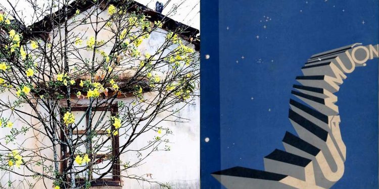 Những mùa Xuân buồn trong ca khúc “Xuân Muộn” của nhạc sĩ Hoài Linh – “Lại thêm Xuân nữa gieo nhẹ vào mái đầu…”