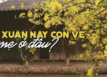 Xuân này con về mẹ ở đâu?