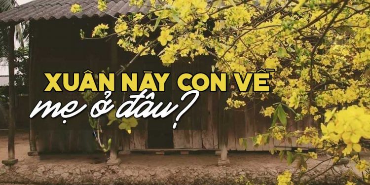 Xuân này con về mẹ ở đâu?