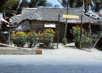 Nỗi lòng “Xuân Nghèo” trong một bài nhạc xuân hải ngoại: “Dù nghèo nhưng cũng ráng đón Xuân…”