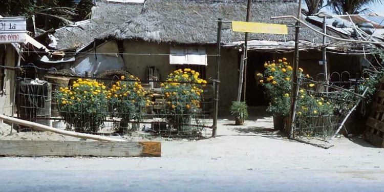 Nỗi lòng “Xuân Nghèo” trong một bài nhạc xuân hải ngoại: “Dù nghèo nhưng cũng ráng đón Xuân…”