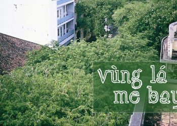 Ca khúc “Vùng Lá Me Bay” (Anh Việt Thanh) và kỷ niệm về những con đường rợp lá me của Sài Gòn xưa