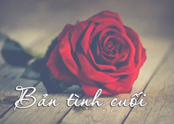 “Bản Tình Cuối” của nhạc sĩ Ngô Thụy Miên – Tình yêu vĩnh cửu và trọn vẹn thủy chung