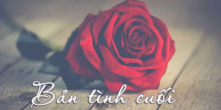 “Bản Tình Cuối” của nhạc sĩ Ngô Thụy Miên – Tình yêu vĩnh cửu và trọn vẹn thủy chung