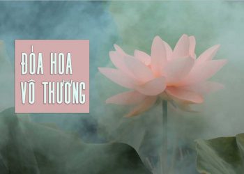 Ca khúc “Đóa Hoa Vô Thường” và hành trình tìm về cội nguồn tâm thức của nhạc sĩ Trịnh Công Sơn