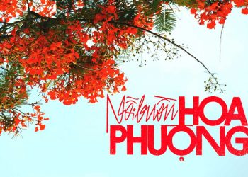 Hoàn cảnh sáng tác ca khúc “Nỗi Buồn Hoa Phượng” (Thanh Sơn) – “Mỗi lần hè thêm kỷ niệm, người xưa biết đâu mà tìm…”