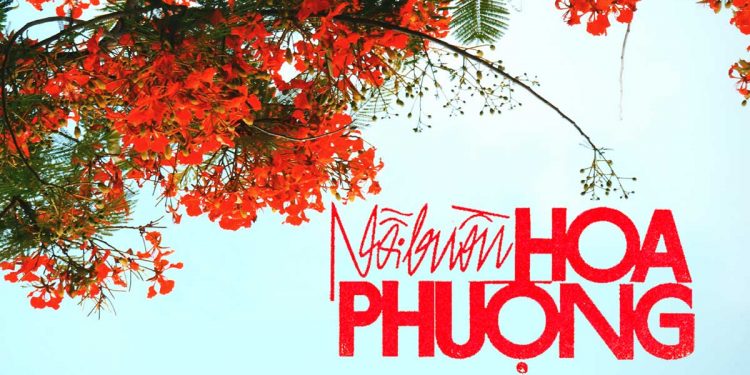 Hoàn cảnh sáng tác ca khúc “Nỗi Buồn Hoa Phượng” (Thanh Sơn) – “Mỗi lần hè thêm kỷ niệm, người xưa biết đâu mà tìm…”