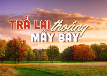 Nhạc sĩ Hoàng Thanh Tâm và “Trả Lại Thoáng Mây Bay” – Nước mắt nào nhỏ xuống lấp môi khô…