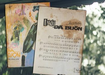 Những suy niệm về cuộc đời qua ca khúc “Tuổi Đá Buồn” của Trịnh Công Sơn: “Tuổi buồn như lá gió mãi cuốn đi…”