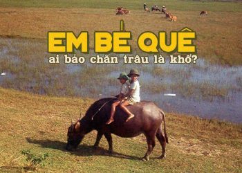 Ký ức về tuổi thơ nơi đồng ruộng trong ca khúc “Em Bé Quê” của nhạc sĩ Phạm Duy: “Ai bảo chăn trâu là khổ…”