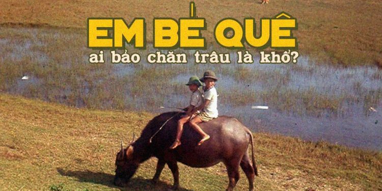 Ký ức về tuổi thơ nơi đồng ruộng trong ca khúc “Em Bé Quê” của nhạc sĩ Phạm Duy: “Ai bảo chăn trâu là khổ…”