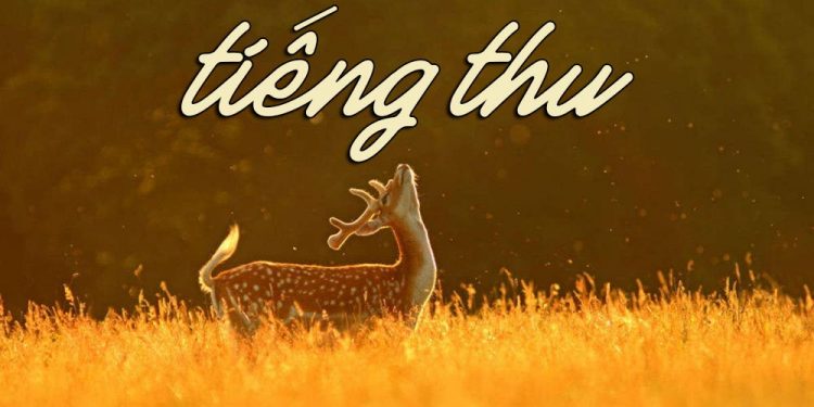 Ý nghĩa của bài thơ – bài hát bất hủ “Tiếng Thu” (Lưu Trọng Lư – Phạm Duy) – “Con nai vàng ngơ ngác – Đạp trên lá vàng khô”