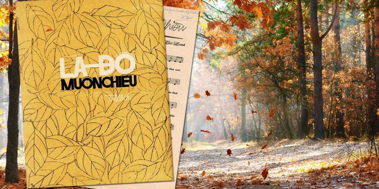 “Lá Đổ Muôn Chiều” – Ca khúc mùa thu buồn nhất của nhạc sĩ Đoàn Chuẩn