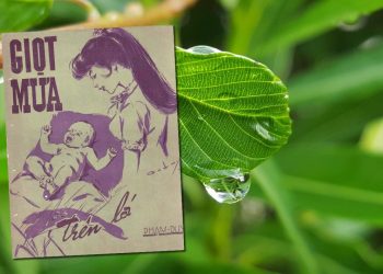 Ca khúc “Giọt Mưa Trên Lá” của nhạc sĩ Phạm Duy – Thế giới thu nhỏ trong một hạt mưa nhỏ bé