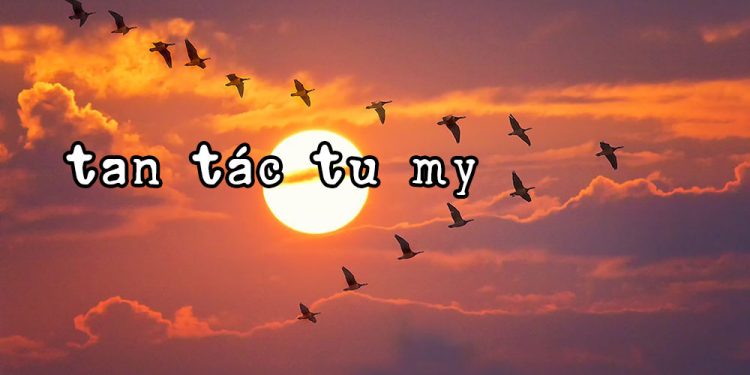 Nhạc sĩ Tu My và ca khúc Tan Tác: “Ngóng về phương xa chờ tin nhạn…”