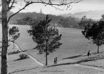 Cảnh sắc huyền diệu của Đà Lạt 90 năm trước qua thơ Hàn Mặc Tử và Quách Tấn