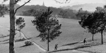 Cảnh sắc huyền diệu của Đà Lạt 90 năm trước qua thơ Hàn Mặc Tử và Quách Tấn