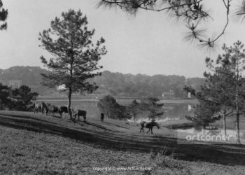 Ký ức về Đồi Cù ở Đà Lạt năm xưa khi vẫn còn là công viên công cộng